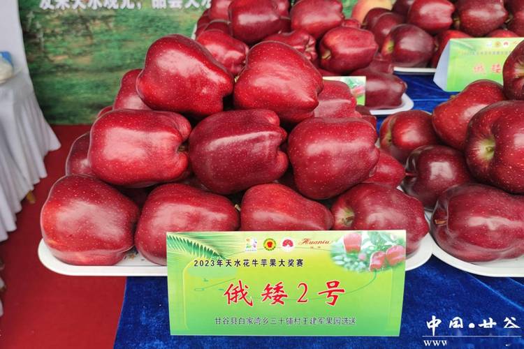 天水花牛苹果在首届中国·天水花牛苹果大会上斩获1金2银3优秀佳绩
