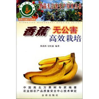 香蕉无公害高效栽培技术要点